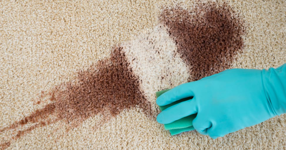 langkah membersihkan karpet rumah dengan maksimal