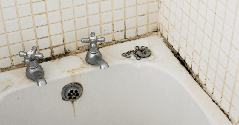mencegah dan mengatasi jamur pada dinding kamar mandi